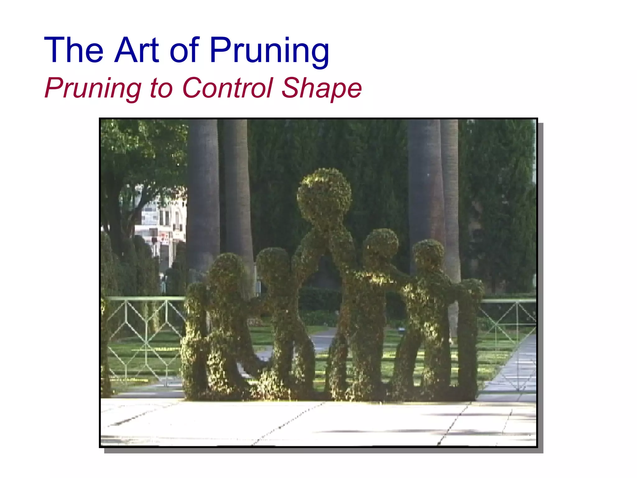 The Art of Pruning Pruning to Control Shape 