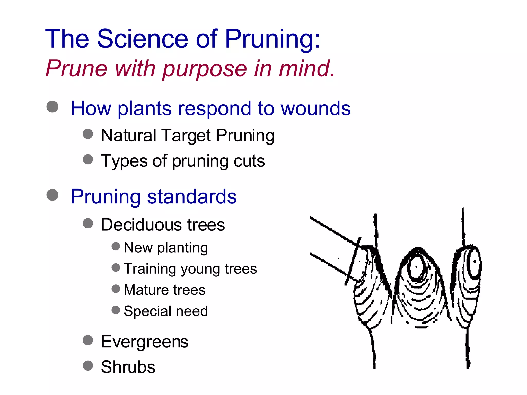 The Science of Pruning:  Prune with purpose in mind. How plants respond to wounds Natural Target Pruning Types of pruning cuts Pruning standards  Deciduous trees New planting Training young trees Mature trees Special need Evergreens Shrubs 