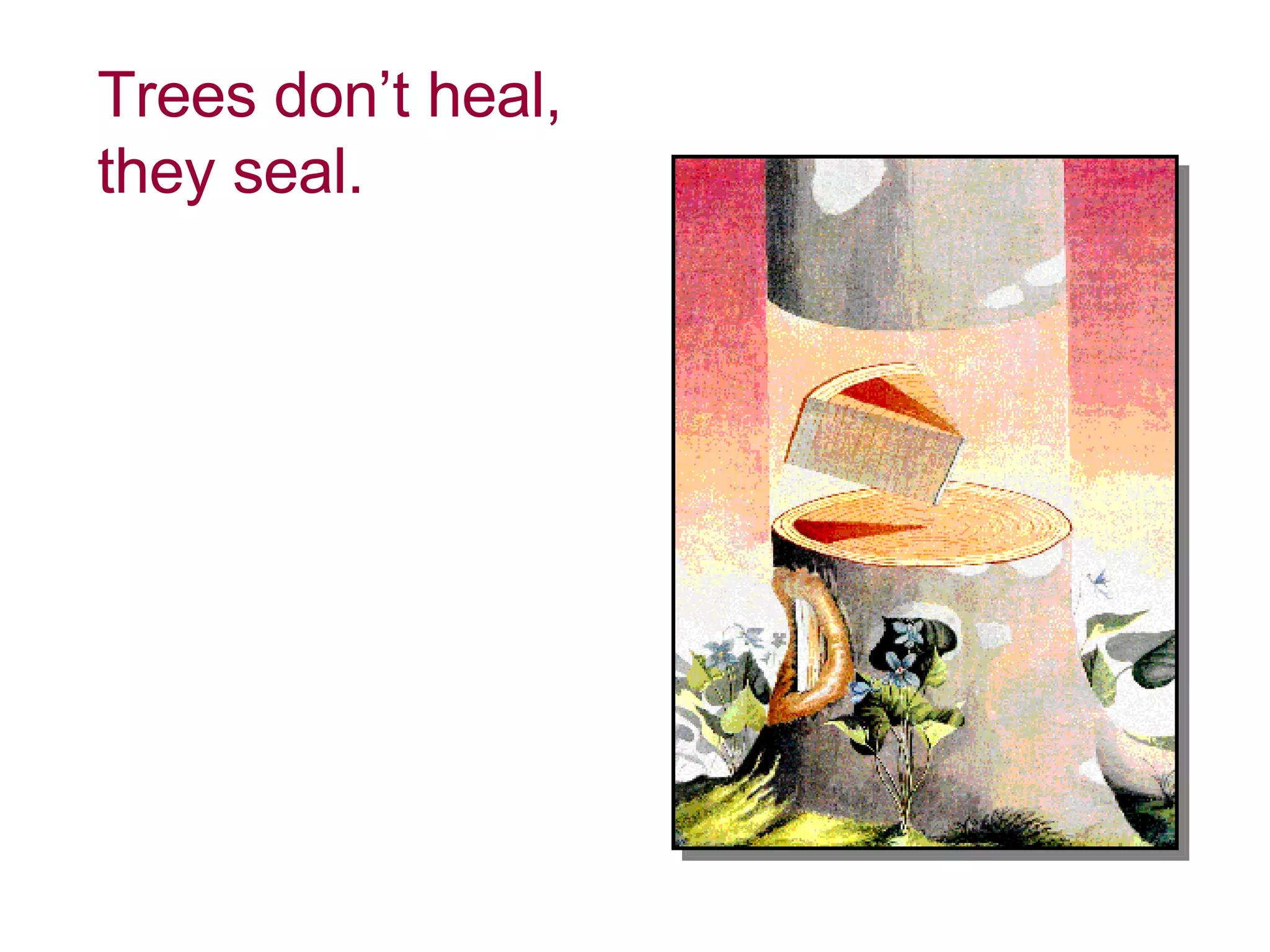 Trees don’t heal, they seal. 
