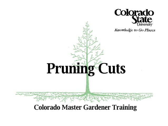 4a Basic Pruning Cuts & Codit | PPT