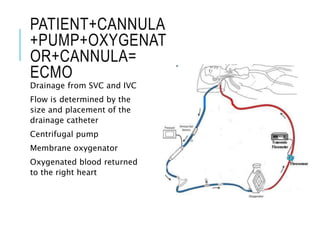 PATIENT+CANNULA
+PUMP+OXYGENAT
OR+CANNULA=
ECMO
Drainage from SVC and IVC
Flow is determined by the
size and placement of the
drainage catheter
Centrifugal pump
Membrane oxygenator
Oxygenated blood returned
to the right heart
 