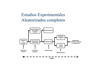 4A- Estudios experimentales