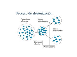 4A- Estudios experimentales