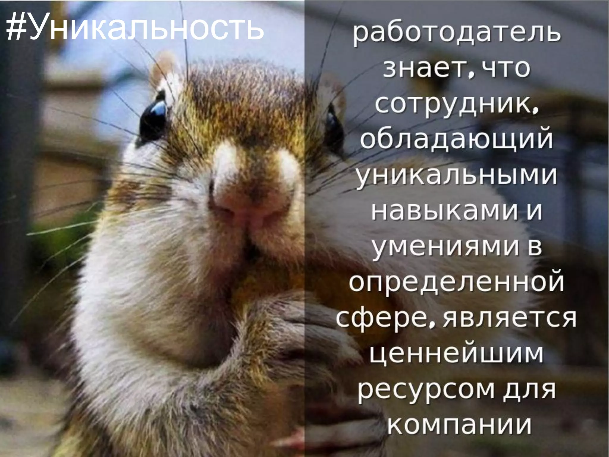 © 2015 Татьяна В. Козлова
kozlovatat@mail.ru
#Уникальность
 