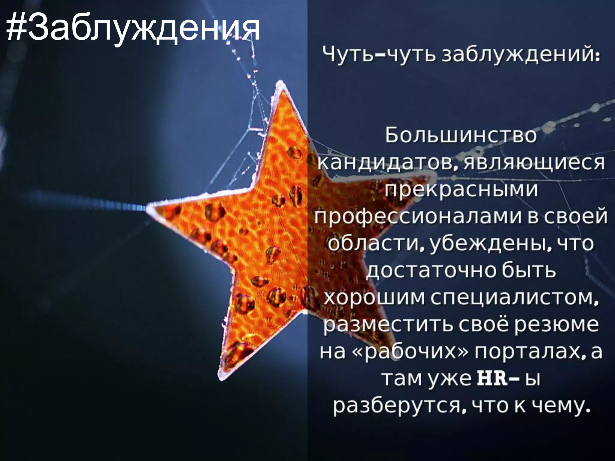 Photo by Neal. - Creative Commons Attribution License https://www.flickr.com/photos/31878512@N06 Created with Haiku Deck
© 2015 Татьяна В. Козлова
kozlovatat@mail.ru
#Заблуждения
 