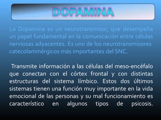 La Dopamina es un neurotransmisor, que desempeña
un papel fundamental en la comunicación entre células
nerviosas adyacentes. Es uno de los neurotransmisores
catecolaminérgicos más importantes del SNC.
Transmite información a las células del meso-encéfalo
que conectan con el córtex frontal y con distintas
estructuras del sistema límbico. Estos dos últimos
sistemas tienen una función muy importante en la vida
emocional de las personas y su mal funcionamiento es
característico en algunos tipos de psicosis.
 