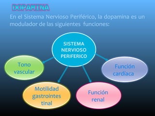 En el Sistema Nervioso Periférico, la dopamina es un
modulador de las siguientes funciones:
SISTEMA
NERVIOSO
PERIFERICO
Función
cardíaca
Motilidad
gastrointes
tinal
Tono
vascular
Función
renal
 