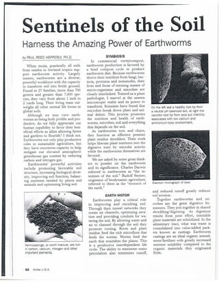 earthwormsAcres USA