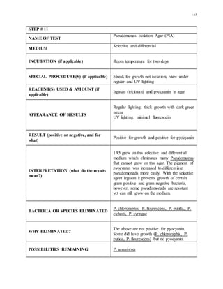 1A5
STEP # 11
NAME OF TEST
Pseudomonas Isolation Agar (PIA)
MEDIUM
Selective and differential
INCUBATION (if applicable) Room temperature for two days
SPECIAL PROCEDURE(S) (if applicable) Streak for growth not isolation; view under
regular and UV lighting
REAGENT(S) USED & AMOUNT (if
applicable)
Irgasan (triclosan) and pyocyanin in agar
APPEARANCE OF RESULTS
Regular lighting: thick growth with dark green
smear
UV lighting: minimal fluorescein
RESULT (positive or negative, and for
what)
Positive for growth and positive for pyocyanin
INTERPRETATION (what do the results
mean?)
1A5 grew on this selective and differential
medium which eliminates many Pseudomonas
that cannot grow on this agar. The pigment of
pyocyanin was increased to differentiate
pseudomonads more easily. With the selective
agent Irgasan it prevents growth of certain
gram positive and gram negative bacteria,
however, some pseudomonads are resistant
yet can still grow on the medium.
BACTERIA OR SPECIES ELIMINATED
P. chlororaphis, P. flourescens, P. putida,, P.
cichorii, P. syringae
WHY ELIMINATED?
The above are not positive for pyocyanin.
Some did have growth (P. chlororaphis, P.
putida, P. flourescens) but no pyocyanin.
POSSIBILITIES REMAINING P. aeruginosa
 
