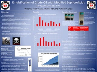 Objective
• To characterize the emulsification of crude oil and water caused
by modified sophorolipids
Why is crude oil important?
• Naturally occurring mixture of hydrocarbons with varying
compositions and many important uses (fuels vehicles, drives
machinery, generates heat)
What are sophorolipids and why are they interesting?
• Bio surfactants that are produced efficiently through
fermentation from sugar and natural fatty acids hence natural,
green, and eco-friendly
How can we safely measure emulsification?
• Small scale testing of emulsions with crude oil, water and
modified sophorolipids. Particular emphasis on particle size for
tracking stability.
Some of the oil dispersants currently used on the market to clean
up oil spills have proven to be even more toxic to marine life and
animals on the shore than the original oil spill.
Materials and
Methods
Materials: Distilled water,
Crude Oils: Arabian and
Prudhoe Bay
Modified Sophorolipids:
Ethyl-, Hexyl-,
Decyl Ester Sophorolipid
Methods:
• Sophorolipids were dissolved in water at 45oC.
• Aqueous solution was homogenized with a shear
homogenizer at 14,000 rpm for 5 min.
• Emulsions were allowed to age for 1 week at 25oC.
• Emulsions’ appearance and mean particle size
were measured after 1 week.
0
5
10
15
20
25
30
35
0.05wt% 0.1wt% 0.5wt% 0.05wt% 0.1wt% 0.5wt% 0.05wt% 0.1wt% 0.5wt%
VolumetricMeanParticleSize(µm)
Surfactant Concentration (wt% by total emulsion)
Modified Sophorolipid Used
Arabian Crude Oil Emulsification
Results Continued
Conclusions
• Modified Sophorolipds were able to emulsify Crude Oil
• Arabian Crude Oil’s low volumetric mean particle size shows the
efficiency of the surfactant and its ability to aid in the clean up of
oil spills
• Emulsifying Prudhoe Bay oil with modified sophorolipids is not
as effective as Arabian oil because of its higher volumetric mean
particle size
• Higher viscosity of crude oil may cause it to be tougher to
homogenize resulting in worse emulsions
Resources
"Antimicrobial Technology."SYNTHEZYME’S FUNGICIDES AND ANTIMICROBIALS. SyntheZyme
LLC. Web. 2 Dec. 2014.
"Dispersant Chart." Wonkroom: Think Progress. 16 June 2010. Web. 2 Dec. 2014.
"Oil Can Do More." Crude Oil Is the Most Important Raw Material of the Industrialized Nat -
Wintershall Holding GmbH. Web. 2 Dec. 2014.
https://sites.google.com/a/opensailing.net/protei/news/untitledpost
Acknowledgments
Thank you to Amanda Koh for teaching me all of the techniques
needed to collect this data as well as Dr. Richard Gross for giving
me access to his laboratory equipment and the materials needed.
Results
Emulsification of Crude Oil with Modified Sophorolipids
Saving one Duck at a Time
Weronika Jakubowska, Amanda Koh, and Dr. Richard Gross
Ethyl Ester
Sophorolipid
Hexyl Ester
Sophorolipid
Decyl Ester
Sophorolipid
0
30
60
90
120
150
180
0.05wt% 0.1wt% 0.5wt% 0.05wt% 0.1wt% 0.5wt% 0.05wt% 0.1wt% 0.5wt%
VolumetricMeanParticleSize(µm)
Surfactant Concentration (wt% by total emulsion)
Modified Sophorolipid Used
Prudhoe Bay Crude Oil Emulsification
Hexyl Ester
Sophorolipid
Decyl Ester
Sophorolipid
Ethyl Ester
Sophorolipid
Crude
Oil
Type
Modified
Sophorolipid
Type
Volumetric Mean
Particle Size Avg.
(microns)
Arabian Ethyl 20
Arabian Hexyl 14
Arabian Decyl 11
Prudhoe Bay Ethyl 108
Prudhoe Bay Hexyl 66
Prudhoe Bay Decyl 51
Progressively more opaque emulsion is seen
as the concentration of Hexyl Ester
Sophorolipid increases with little to no
precipitation. This shows the success of the
emulsion of Prudhoe Bay Crude Oil.
0.5 wt % Ethyl Ester
Sophorolipid + Prudhoe Bay
Crude Oil
Ethyl Ester Sophorolipid,
with the shortest
hydrophobic carbon chain,
shows precipitation after
emulsification, which may
destabilize emulsion
droplets.
Corexit 9500’s spreads quickly through the ocean at a rate of
2.5 million gallons per day which is represented by the slope.
Dates during the BP Oil Spill Crisis of 2010
Sophorolipid Structure
GallonsofCorexit
All emulsions were 25 wt.% oil , 0.05-0.5 wt.%
surfactant and balance of water.
"Dispersant Chart." Wonkroom: Think Progress. 16 June 2010. Web. 2 Dec. 2014
 