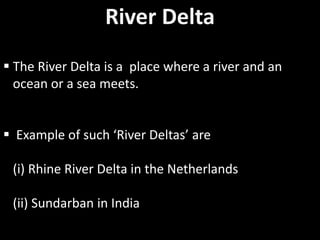 River Delta
 The River Delta is a place where a river and an
ocean or a sea meets.
 Example of such ‘River Deltas’ are
(i) Rhine River Delta in the Netherlands
(ii) Sundarban in India
 