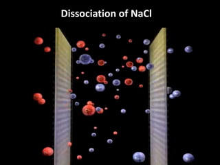 Dissociation of NaCl
 