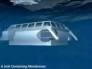 A Unit Containing Membranes
 