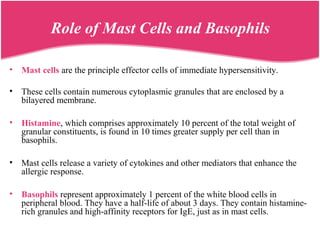 Role of Mast Cells and Basophils
• Mast cells are the principle effector cells of immediate hypersensitivity.
• These cells contain numerous cytoplasmic granules that are enclosed by a
bilayered membrane.
• Histamine, which comprises approximately 10 percent of the total weight of
granular constituents, is found in 10 times greater supply per cell than in
basophils.
• Mast cells release a variety of cytokines and other mediators that enhance the
allergic response.
• Basophils represent approximately 1 percent of the white blood cells in
peripheral blood. They have a half-life of about 3 days. They contain histamine-
rich granules and high-affinity receptors for IgE, just as in mast cells.
 