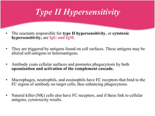 • The reactants responsible for type II hypersensitivity, or cytotoxic
hypersensitivity, are IgG and IgM.
• They are triggered by antigens found on cell surfaces. These antigens may be
altered self-antigens or heteroantigens.
• Antibody coats cellular surfaces and promotes phagocytosis by both
opsonization and activation of the complement cascade.
• Macrophages, neutrophils, and eosinophils have FC receptors that bind to the
FC region of antibody on target cells, thus enhancing phagocytosis.
• Natural killer (NK) cells also have FC receptors, and if these link to cellular
antigens, cytotoxicity results.
Type II Hypersensitivity
 