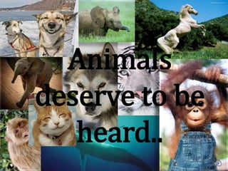Animals deserve to be heard.. 