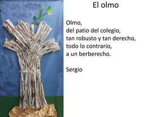 El olmo
Olmo,
del patio del colegio,
tan robusto y tan derecho,
todo lo contrario,
a un berberecho.
Sergio
 
