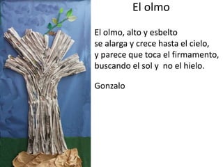 El olmo
El olmo, alto y esbelto
se alarga y crece hasta el cielo,
y parece que toca el firmamento,
buscando el sol y no el hielo.
Gonzalo
 
