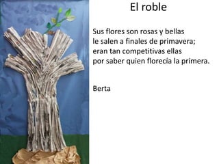 El roble
Sus flores son rosas y bellas
le salen a finales de primavera;
eran tan competitivas ellas
por saber quien florecía la primera.
Berta
 