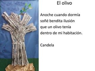 El olivo
Anoche cuando dormía
soñé bendita ilusión
que un olivo tenía
dentro de mi habitación.
Candela
 