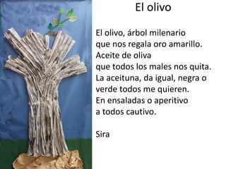 El olivo
El olivo, árbol milenario
que nos regala oro amarillo.
Aceite de oliva
que todos los males nos quita.
La aceituna, da igual, negra o
verde todos me quieren.
En ensaladas o aperitivo
a todos cautivo.
Sira
 