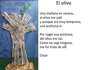 El olivo
Una mañana en verano,
al olivo me subí
y aunque era muy temprano,
una aceituna vi.
Por coger esa aceituna,
del olivo me caí.
Como no cogí ninguna,
me fui triste de allí
César
 