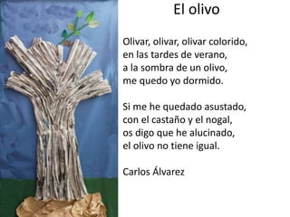 El olivo
Olivar, olivar, olivar colorido,
en las tardes de verano,
a la sombra de un olivo,
me quedo yo dormido.
Si me he quedado asustado,
con el castaño y el nogal,
os digo que he alucinado,
el olivo no tiene igual.
Carlos Álvarez
 