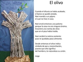 El olivo
Cuando el diluvio se había acabado,
el barco se quedó aislado.
Noé mandó a un pájaro
el cual no hizo ni caso.
Noé envió entonces una paloma
porque la cosa no era ninguna broma.
Encontró una ramita de olivo
que en el pico había traído.
Noé recibió la noticia contento
pues le quedaba poco alimento.
Desde entonces el olivo indica
símbolo de paz y reconciliación,
puesto que ello significa
del hombre y la naturaleza su unión.
Jorge
 