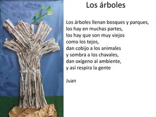 Los árboles
Los árboles llenan bosques y parques,
los hay en muchas partes,
los hay que son muy viejos
como los tejos,
dan cobijo a los animales
y sombra a los chavales,
dan oxígeno al ambiente,
y así respira la gente
Juan
 