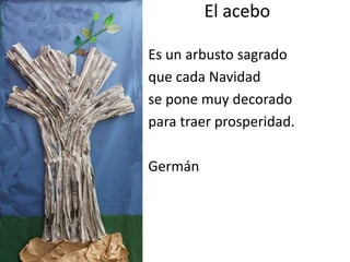 El acebo
Es un arbusto sagrado
que cada Navidad
se pone muy decorado
para traer prosperidad.
Germán
 