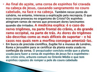 • Ao final do açoite, uma coroa de espinhos foi cravada
na cabeça de Jesus, causando sangramento no couro
cabeludo, na face e na cabeça. Também nesse ponto do
calvário, no entanto, interessa a explicação pela necropsia. O que
essa coroa provocou no organismo de Cristo? Os espinhos
atingiram ramos de nervos que provocam dores lancinantes
quando são irritados. A medicina explica: é o caso do
nervo trigêmeo, na parte frontal do crânio, e do grande
ramo occipital, na parte de trás. As dores do trigêmeo
são descritas como as mais difíceis de suportar – e há
casos nos quais nem a morfina consegue amenizá-las.
• Em busca de precisão científica, Zugibe foi a museus de Londres,
Roma e Jerusalém para se certificar da planta exata usada na
confecção da coroa. O pesquisador concluiu então que a planta
usada para fazer a coroa de espinhos de Jesus foi o espinheiro-
de-cristo sírio, arbusto comum no Oriente Médio e que tem
espinhos capazes de romper a pele do couro cabeludo
 