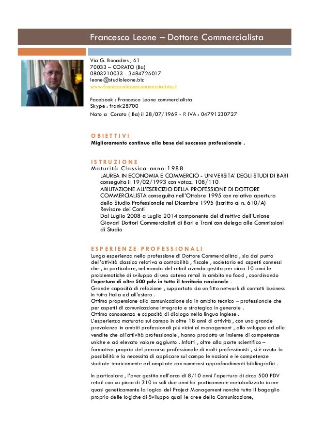 Curriculum vitae template image