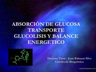ABSORCIÓN DE GLUCOSA TRANSPORTE GLUCOLISIS Y BALANCE ENERGETICO Docente Tutor - Juan Baltazar Silva Cátedra de Bioquímica 