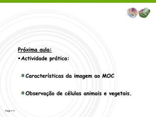 Próxima aula:
             Actividade prática:


               Características da imagem ao MOC


               Observação de células animais e vegetais.


Page  11
 