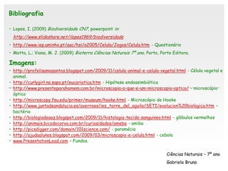 Bibliografia

• Lopes, I. (2009) Biodiversidade CN7, powerpoint in:
 http://www.slideshare.net/ilopes1969/biodiversidade
• http://www.iep.uminho.pt/aac/hsi/a2005/Celula/Jogos/Celula.htm - Questionário
• Motta, L.; Viana, M. J. (2009) Bioterra Ciências Naturais 7º ano, Porto, Porto Editora.

Imagens:
• http://profelisamasantos.blogspot.com/2009/11/celula-animal-e-celula-vegetal.html - Célula vegetal e
  animal.
• http://curlygirl.no.sapo.pt/eucariotica.htm - Hipótese endossimbiótica
• http://www.presenteparahomem.com.br/microscopia-o-que-e-um-microscopio-optico/ - microscópio
  óptico
• http://microscopy.fsu.edu/primer/museum/hooke.html - Microscópio de Hooke
• http://www.juntadeandalucia.es/averroes/ies_torre_del_aguila/SETI/evolucion%20biologica.htm –
  bactéria
• http://biologiadeaaz.blogspot.com/2009/11/histologia-tecido-sanguineo.html - glóbulos vermelhos
• http://animais.bicodocorvo.com.br/curiosidades/ameba - amiba
• http://picsdigger.com/domain/101science.com/ - paramécia
• http://ajudaalunos.blogspot.com/2009/03/microscopio-e-celula.html - cebola
• www.PresentationLoad.com – Fundos.


                                                                             Ciências Naturais – 7º ano
                                                                             Gabriela Bruno
 