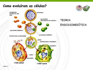Como evoluíram as células?



                             TEORIA
                             ENDOSSIMBIÓTICA




Page  5
 
