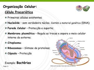 Organização Celular:
  Célula Procariótica
      Primeiras células existentes;

      Nucleóide – sem verdadeiro núcleo. Contém o material genético (DNA);

      Parede Celular – Protecção e suporte;

      Membrana plasmática – Regula as trocas e separa o meio celular
      interno do externo;

      Citoplasma;

      Ribossomas – Síntese de proteínas;

      Cápsula – Protecção


  Exemplo:   Bactérias
Page  6
 
