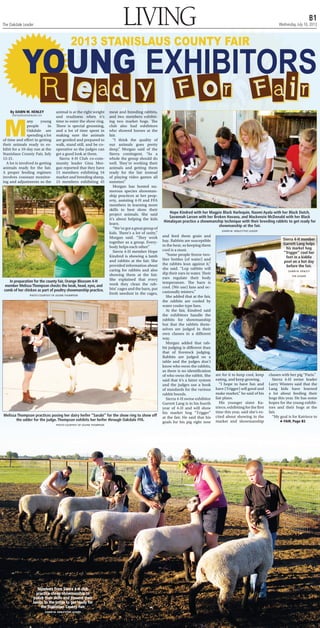 LIVING B1
Wednesday, July 10, 2013The Oakdale Leader
By DAWN M. HENLEY
dhenley@oakdaleleader.com
M
any young
people in
Oakdale are
spending a lot
of time and effort in getting
their animals ready to ex-
hibit for a 10-day run at the
Stanislaus County Fair, July
12-21.
A lot is involved in getting
animals ready for the fair.
A proper feeding regimen
involves constant monitor-
ing and adjustments so the
animal is at the right weight
and readiness when it’s
time to enter the show ring.
There is special grooming,
and a lot of time spent in
making sure the animals
are gentled and prepared to
walk, stand still, and be co-
operative so the judges can
get a good look at them.
Sierra 4-H Club co-com-
munity leader Gina Mor-
gan reported that they have
15 members exhibiting 54
market and breeding sheep,
15 members exhibiting 45
meat and breeding rabbits,
and two members exhibit-
ing two market hogs. The
club also had exhibitors
who showed horses at the
fair.
“I think the quality of
our animals goes pretty
deep,” Morgan said of the
Sierra contingent. “As a
whole the group should do
well. They’re working their
animals and getting them
ready for the fair instead
of playing video games all
summer.”
Morgan has hosted nu-
merous species showman-
ship practices at her prop-
erty, assisting 4-H and FFA
members in learning more
skills to best show their
project animals. She said
it’s about helping the kids
learn.
“We’vegotagreatgroupof
kids. There’s a lot of unity,”
Morgan said. “They work
together as a group. Every-
body helps each other.”
Sierra 4-H member Hope
Kindred is showing a lamb
and rabbits at the fair. She
provided information about
caring for rabbits and also
showing them at the fair.
She explained that every
week they clean the rab-
bits’ cages and the barn, put
fresh sawdust in the cages,
and feed them grain and
hay. Rabbits are susceptible
to the heat, so keeping them
cool is a must.
“Some people freeze two-
liter bottles (of water) and
the rabbits lean against it,”
she said. “Lop rabbits will
dip their ears in water. Their
ears regulate their body
temperature. The barn is
cool. (We use) fans and oc-
casionally misters.”
She added that at the fair,
the rabbits are cooled by
water cooler type fans.
At the fair, Kindred said
the exhibitors handle the
rabbits for showmanship
but that the rabbits them-
selves are judged in their
own classes in a different
way.
Morgan added that rab-
bit judging is different than
that of livestock judging.
Rabbits are judged on a
table and the judges don’t
know who owns the rabbits,
as there is no identification
of who owns the rabbit. She
said that it’s a fairer system
and the judges use a book
of standards for the various
rabbit breeds.
Sierra 4-H swine exhibitor
Garrett Lang is in his fourth
year of 4-H and will show
his market hog “Trigger”
at the fair. He said that his
goals for his pig right now
are for it to keep cool, keep
eating, and keep growing.
“I hope to have fun and
have (Trigger) sell good and
make market,” he said of his
fair plans.
His younger sister Ka-
triece, exhibiting for the first
time this year, said she’s ex-
cited about showing in the
market and showmanship
classes with her pig “Paris.”
Sierra 4-H swine leader
Larry Winters said that the
Lang kids have learned
a lot about feeding their
hogs this year. He has some
hopes for the young exhibi-
tors and their hogs at the
fair.
“My goal is for Katriece to
Members from Sierra 4-H club
practice sheep showmanship to
polish their skills and present their
lambs to the judge to get ready for
the Stanislaus County Fair.
DAWN M. HENLEY/THE LEADER
YOUNG EXHIBITORS
Ready For Fair
Hope Kindred with her Magpie Black Harlequin, Naomi Ayala with her Black Dutch,
Savannah Larsen with her Broken Havana, and Mackenzie McDonald with her Black
Himalayan practice a showmanship technique with their breeding rabbits to get ready for
showmanship at the fair.
DAWN M. HENLEY/THE LEADER
2013 STANISLAUS COUNTY FAIR
Sierra 4-H member
Garrett Lang helps
his market hog
“Trigger” cool her
feet in a kiddie
pool on a hot day
before the fair.
DAWN M. HENLEY/
THE LEADER
Melissa Thompson practices posing her dairy heifer “Sarabi” for the show ring to show off
the udder for the judge. Thompson exhibits her heifer through Oakdale FFA.
PHOTO COURTESY OF JOLENE THOMPSON
In preparation for the county fair, Orange Blossom 4-H
member Melissa Thompson checks the beak, head, eyes, and
comb of her chicken as part of poultry showmanship practice.
PHOTO COURTESY OF JOLENE THOMPSON
FAIR, Page B2
 