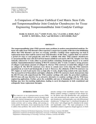 A Comparison of Human Umbilical Cord Matrix Stem Cells
and Temporomandibular Joint Condylar Chondrocytes for Tissue
Engineering Temporomandibular Joint Condylar Cartilage
MARK M. BAILEY, B.S.,1,2
LIMIN WANG, M.S.,1
CLAUDIA J. BODE, Ph.D.,3
KATHY E. MITCHELL, Ph.D.,3
and MICHAEL S. DETAMORE, Ph.D.1
ABSTRACT
The temporomandibular joint (TMJ) presents many problems in modern musculoskeletal medicine. Pa-
tients who suffer from TMJ disorders often experience a major loss in quality of life due to the debilitating
effects that TMJ disorders can have on everyday activities. Cartilage tissue engineering can lead to
replacement tissues that could be used to treat TMJ disorders. In this study, a spinner ﬂask was used for
a period of 6 days to seed polyglycolic acid (PGA) scaffolds with either TMJ condylar chondrocytes
or mesenchymal-like stem cells derived from human umbilical cord matrix (HUCM). Samples were then
statically cultured for 4 weeks either in growth medium containing chondrogenic factors or in control
medium. Immunohistochemical staining of HUCM constructs after 4 weeks revealed a strong presence
of collagen I and minute amounts of collagen II, whereas TMJ constructs revealed little collagen I and
no collagen II. The HUCM constructs were shown to contain more GAGs than the TMJ constructs
quantitatively at week 0 and histologically at week 4. Moreover, the cellularity of HUCM constructs was
55% higher at week 0 and nearly twice as high after 4 weeks, despite being seeded at the same density.
The increased level of biosynthesis and higher cellularity of HUCM constructs clearly demonstrates that
the HUCM stem cells outperformed the TMJ condylar cartilage cells under the prescribed conditions.
HUCM stem cells may therefore be an attractive alternative to condylar cartilage cells for TMJ tissue
engineering applications. Further, given the availability and ease of obtaining HUCM stem cells, these
ﬁndings may have far-reaching implications, leading to novel developments in both craniofacial and
orthopaedic tissue replacement therapies.
INTRODUCTION
THE COMPLEXITY OF THE TEMPOROMANDIBULAR JOINT (TMJ),
or jaw joint, makes it difﬁcult to treat its disorders such
as arthritis, internal derangement, and ankylosis. TMJ dis-
orders can restrict the range of mouth opening, and can make
routine activities such as eating, talking, and yawning se-
verely painful. Fortunately, tissue engineering may be able
to address these problems. Our current efforts focus on the
articular cartilage of the mandibular condyle. Native man-
dibular condylar cartilage is composed of four distinct lay-
ers: the ﬁbrous zone with ﬁbroblast-like cells, proliferative
zone with mesenchymal cells, mature zone with differenti-
ated chondrocytes, and hypertrophic zone with differentiated
chondrocytes.1
Collagen type I is distributed throughout all
of the zones,2
and collagen type II is abundant in the mature
and hypertrophic zones.3
The major proteoglycan in the
mandibular condyle is negatively charged aggrecan, in which
1
Department of Chemical & Petroleum Engineering, University of Kansas, Lawrence KS 66045.
2
Department of Chemical & Petroleum Engineering, University of Pittsburgh, Pittsburgh PA 15260.
3
Department of Pharmacology & Toxicology, University of Kansas, Lawrence KS 66045.
TISSUE ENGINEERING
Volume 13, Number 8, 2007
# Mary Ann Liebert, Inc.
DOI: 10.1089/ten.2006.0150
2003
 