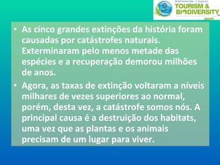 As cinco grandes extinções da história foram causadas por catástrofes naturais. Exterminaram pelo menos metade das espécies e a recuperação demorou milhões de anos.  Agora, as taxas de extinção voltaram a níveis milhares de vezes superiores ao normal, porém, desta vez, a catástrofe somos nós. A principal causa é a destruição dos habitats, uma vez que as plantas e os animais precisam de um lugar para viver. 