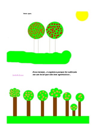 Livro com Dicas de Alimentos