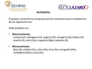É qualquer elemento ou composto químico necessário para o metabolismo
de um organismo vivo.
Estão divididos em:
• Macronutrientes:
Carbono (C), hidrogênio (H), oxigênio (O), nitrogênio (N), fósforo (P),
enxofre (S), cálcio (Ca), magnésio (Mg) e potássio (K).
• Micronutrientes:
Boro (B), cobalto (Co), cobre (Cb), ferro (Fe), manganês (Mn),
molibdênio (Mo) e zinco (Zn).
NUTRIENTES
 