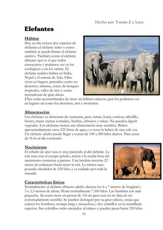 Hábitat
Hoy en día existen dos especies de
elefantes el elefante indio o como
también se puede llamar el elefante
asiático. También existe el elefante
africano que es el que todos
conocemos y podemos ver en los
zoológicos o en los safaris. El
elefante asiático habita en India,
Nepal y el sureste de Asia. Ellos
viven en lugares parecidos como en
desiertos, sabanas, zonas de bosques
tropicales, valles de ríos y zonas
montañosas de gran altura.
Ellos están acostumbrados de tener un hábitat caluroso, por los podemos ver
en lugares así como los desiertos, ríos y montañas.

Alimentación
Los elefantes se alimentan de: manzana, pera, ramas, hojas, corteza, arbolillo,
brotes, matas (ramas cortadas), hierbas, arbustos y raíces. No pueden digerir
vegetales. Los elefantes tienen una alimentación muy nutritiva. Beben
aproximadamente unos 225 litros de agua y a veces la beben de una sola vez.
Un elefante adulto puede llegar a comer de 100 a 200 kilos diarios. Pasa cerca
de 16 hs al día comiendo.

Nacimiento
El rebaño de una vaca es muy parecido al del elefante. La
cría nace con el cuerpo peludo, recién a la media hora del
nacimiento comienza a pararse. Una hembra necesita 22
meses de embarazo hasta tener la cría. La misma nace
pesando alrededor de 120 kilos y es cuidado por toda la
manada.

Características físicas
Normalmente el elefante africano adulto alcanza los 6 a 7 metros de longitud y
3 a 3,5 metros de altura. Pesan normalmente 7.500 kilos. Las hembras son más
pequeñas. Su cuero tiene un grosor de 3.8 cm pero aun asi no deja de ser
extremadamente sensible. Se pueden distinguir por su gran cabeza, orejas que
cubren los hombros, trompa larga y musculosa y dos colmillos en la mandíbula
superior. Sus colmillos están encajados al cráneo y pueden pesar hasta 120 kilos.
                                       11
 