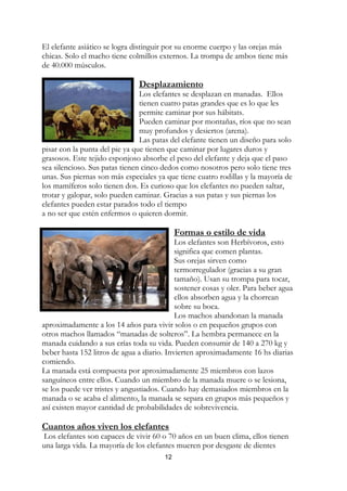 El elefante asiático se logra distinguir por su enorme cuerpo y las orejas más
chicas. Solo el macho tiene colmillos externos. La trompa de ambos tiene más
de 40.000 músculos.

                               Desplazamiento
                                Los elefantes se desplazan en manadas. Ellos
                                tienen cuatro patas grandes que es lo que les
                                permite caminar por sus hábitats.
                                Pueden caminar por montañas, ríos que no sean
                                muy profundos y desiertos (arena).
                                Las patas del elefante tienen un diseño para solo
pisar con la punta del pie ya que tienen que caminar por lugares duros y
grasosos. Este tejido esponjoso absorbe el peso del elefante y deja que el paso
sea silencioso. Sus patas tienen cinco dedos como nosotros pero solo tiene tres
unas. Sus piernas son más especiales ya que tiene cuatro rodillas y la mayoría de
los mamíferos solo tienen dos. Es curioso que los elefantes no pueden saltar,
trotar y galopar, solo pueden caminar. Gracias a sus patas y sus piernas los
elefantes pueden estar parados todo el tiempo
a no ser que estén enfermos o quieren dormir.

                                             Formas o estilo de vida
                                            Los elefantes son Herbívoros, esto
                                            significa que comen plantas.
                                            Sus orejas sirven como
                                            termorregulador (gracias a su gran
                                            tamaño). Usan su trompa para tocar,
                                            sostener cosas y oler. Para beber agua
                                            ellos absorben agua y la chorrean
                                            sobre su boca.
                                            Los machos abandonan la manada
aproximadamente a los 14 años para vivir solos o en pequeños grupos con
otros machos llamados “manadas de solteros”. La hembra permanece en la
manada cuidando a sus crías toda su vida. Pueden consumir de 140 a 270 kg y
beber hasta 152 litros de agua a diario. Invierten aproximadamente 16 hs diarias
comiendo.
La manada está compuesta por aproximadamente 25 miembros con lazos
sanguíneos entre ellos. Cuando un miembro de la manada muere o se lesiona,
se los puede ver tristes y angustiados. Cuando hay demasiados miembros en la
manada o se acaba el alimento, la manada se separa en grupos más pequeños y
así existen mayor cantidad de probabilidades de sobrevivencia.

Cuantos años viven los elefantes
 Los elefantes son capaces de vivir 60 o 70 años en un buen clima, ellos tienen
una larga vida. La mayoría de los elefantes mueren por desgaste de dientes
                                        12
 