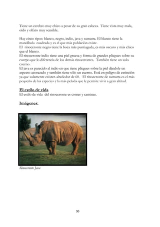 Tiene un cerebro muy chico a pesar de su gran cabeza. Tiene vista muy mala,
oído y olfato muy sensible.

Hay cinco tipos: blanco, negro, indio, java y sumatra. El blanco tiene la
mandíbula cuadrada y es el que más población existe.
El rinoceronte negro tiene la boca más puntiaguda, es más oscuro y más chico
que el blanco.
El rinoceronte indio tiene una piel gruesa y forma de grandes pliegues sobre su
cuerpo que lo diferencia de los demás rinocerontes. También tiene un solo
cuerno.
El java es parecido al indio en que tiene pliegues sobre la piel dándole un
aspecto acorazado y también tiene sólo un cuerno. Está en peligro de extinción
ya que solamente existen alrededor de 60. El rinoceronte de sumatra es el más
pequeño de las especies y la más peluda que le permite vivir a gran altitud.

El estilo de vida
El estilo de vida del rinoceronte es comer y caminar.

Imágenes:




Rinoceronte Java




                                      30
 