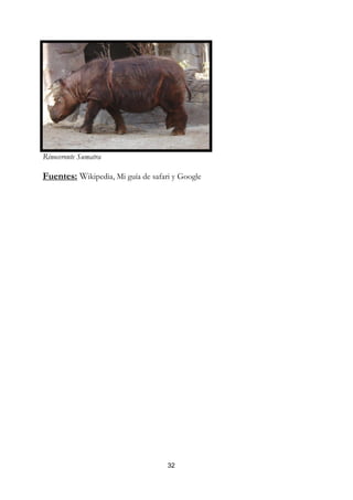 Rinoceronte Sumatra

Fuentes: Wikipedia, Mi guía de safari y Google




                                    32
 