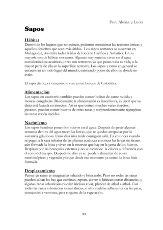 Hábitat
Dentro de los lugares que no existen, podemos mencionar las regiones árticas y
aquellos desiertos que sean más áridos. Los sapos comunes se ausentan en
Madagascar, Australia todas la islas del océano Pacífico y Antártica. En su
mayoría son de hábitat nocturno. Algunas mayormente viven en el agua
considerándose acuáticas, otras son terrestres ya que pasan toda su vida, o la
mayor parte de ella en la superficie terrestre. Los sapos y ranas en general se
encuentran en todo lugar del mundo, existiendo pocos de ellos de donde no
estén.

El sapo dardo, es venenoso y vive en un bosque de Colombia.

Alimentación
Los sapos en cautiverio también pueden comer bolitas de carne molida y
moscas congeladas. Básicamente la alimentación es insectívora, es decir que su
dieta está basada en insectos. Así es que comen muchas veces insectos,
gusanos, pueden comer huevos de otras ranas y sorprendentemente regurgitan
las ranas recién nacidas.

Nacimiento
Los sapos hembras ponen los huevos en el agua. Después de pasar algunas
semanas dentro del agua nacen las larvas, que se quedan atrapadas por la
sustancia gelatinosa. Unos días más tarde consiguen salir. Es entonces cuando
se pegan a la cara inferior de las plantas acuáticas entonces las larvas no tienen
aún formada la boca y viven en la reservas que hay en la yema de los huevos.
Respiran por las branquias externas y no se reconoce la cabeza a diferencia con
el resto del cuerpo. Después de días ya se pueden alimentar de cosas
microscópicas y vegetales porque desde ese momento ya tienen la boca bien
formada.

Desplazamiento
Pensar en ranas es imaginarlas saltando y brincando. Pero no todas las ranas
pueden saltar; las hay que caminan, reptan, corren o brincan cortas distancias, y
algunas ranas arborícolas pueden incluso volar, planear de árbol a árbol. Casi
todas las ranas arborícolas tienen discos, o almohadillas adherentes en las patas,
semejantes a ventosas, para colgarse de la vegetación.




                                        33
 