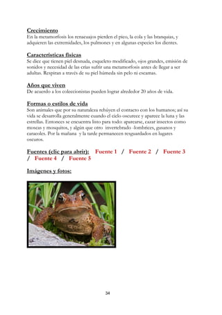 Crecimiento
En la metamorfosis los renacuajos pierden el pico, la cola y las branquias, y
adquieren las extremidades, los pulmones y en algunas especies los dientes.

Características físicas
Se dice que tienen piel desnuda, esqueleto modificado, ojos grandes, emisión de
sonidos y necesidad de las crías sufrir una metamorfosis antes de llegar a ser
adultas. Respiran a través de su piel húmeda sin pelo ni escamas.

Años que viven
De acuerdo a los coleccionistas pueden lograr alrededor 20 años de vida.

Formas o estilos de vida
Son animales que por su naturaleza rehúyen el contacto con los humanos; así su
vida se desarrolla generalmente cuando el cielo oscurece y aparece la luna y las
estrellas. Entonces se encuentra listo para todo: aparearse, cazar insectos como
moscas y mosquitos, y algún que otro invertebrado -lombrices, gusanos y
caracoles. Por la mañana y la tarde permanecen resguardados en lugares
oscuros.

Fuentes (clic para abrir): Fuente 1 / Fuente 2 / Fuente 3
/ Fuente 4 / Fuente 5

Imágenes y fotos:




                                        34
 