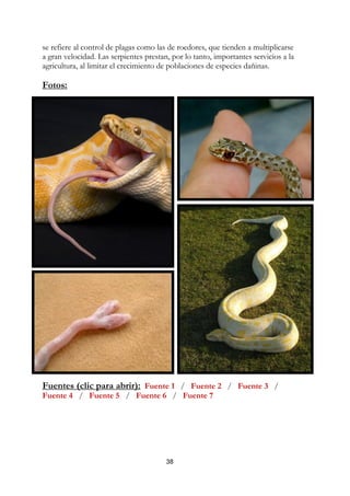 se refiere al control de plagas como las de roedores, que tienden a multiplicarse
a gran velocidad. Las serpientes prestan, por lo tanto, importantes servicios a la
agricultura, al limitar el crecimiento de poblaciones de especies dañinas.

Fotos:




Fuentes (clic para abrir): Fuente 1 / Fuente 2 / Fuente 3 /
Fuente 4 / Fuente 5 / Fuente 6 / Fuente 7




                                        38
 