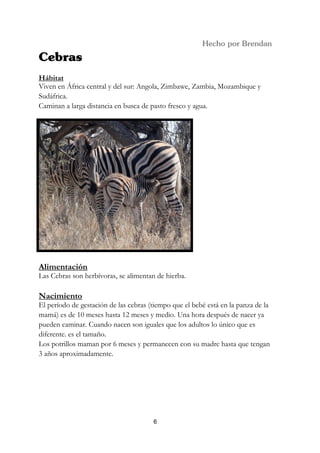 Hábitat
Viven en África central y del sur: Angola, Zimbawe, Zambia, Mozambique y
Sudáfrica.
Caminan a larga distancia en busca de pasto fresco y agua.




Alimentación
Las Cebras son herbívoras, se alimentan de hierba.

Nacimiento
El período de gestación de las cebras (tiempo que el bebé está en la panza de la
mamá) es de 10 meses hasta 12 meses y medio. Una hora después de nacer ya
pueden caminar. Cuando nacen son iguales que los adultos lo único que es
diferente. es el tamaño.
Los potrillos maman por 6 meses y permanecen con su madre hasta que tengan
3 años aproximadamente.




                                       6
 
